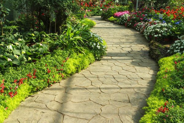 Cost of Stone Pathway Service in Longwood
