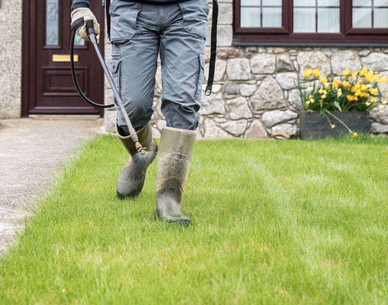 Backyard Hardscape Service